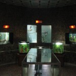 Muzeul-apelor-Mihai-Bacescu-din-Falticeni-20110222152309