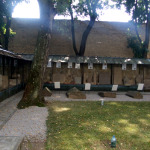 muzeu7