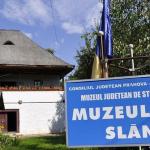 muzeul_sarii
