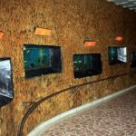 sala_acvariilor_1