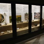 tezaur-arheologie-muzeul-dunarii-de-jos-calarasi-05