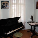 poza-enescu