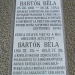 Bartok