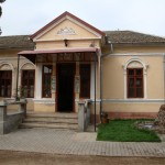 Casa-memoriala-Amza-Pellea-20110203170754