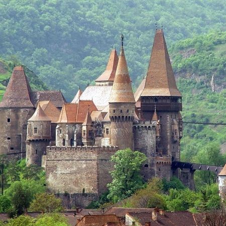 Castelul-Corvinilor-20101216095803