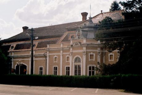 Castelul-Dietrich-Sukowsky-Pancota-20101110143040