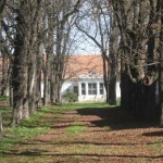 Castelul-Kalnoky-din-Valea-Crisului-20110720142736
