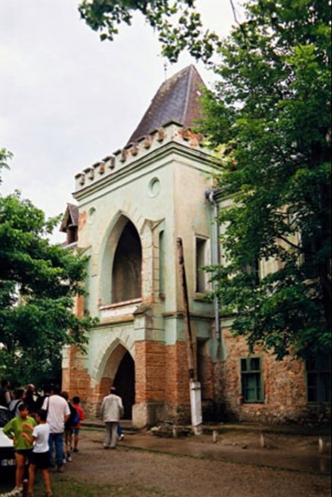 Castelul-Nopcsa-Sacel-20101216102549