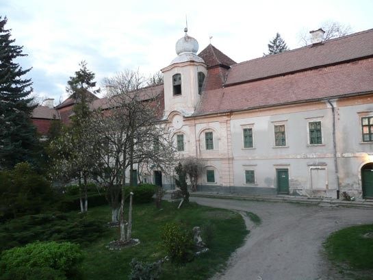 Castelul-Rakoczi---Bornemisza-20101130152956