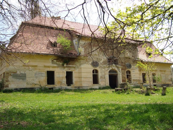 Castelul-Teleki-din-Comlod-20110116104827