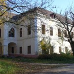 Castelul-Vecsey-20101123105959