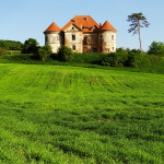 Castelul_Radak_–_Pekri_din_Ozd_(MS)