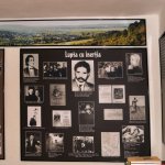 casa_memoriala_nicolae_labis_malini_bucovina