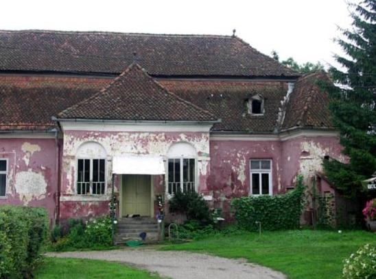 castelul-nemes-haghig-2