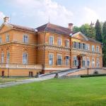 castelul-savarsin