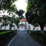 castelul-teleki-dumbravioara