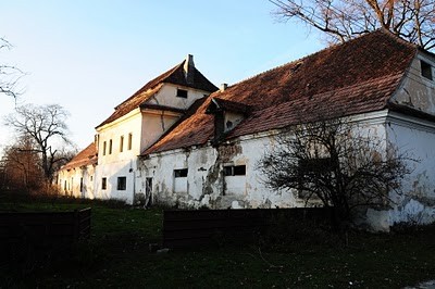 poza-4873_1