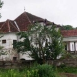 poza-castelul-kalnoky-din-miclosoara-20110720132838