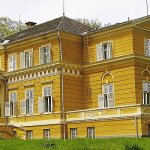 savarsin_1