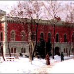 timisoara_castelul_huniade_06muzeul banatului
