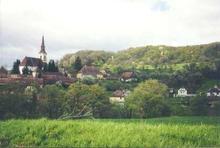 117847_schit01_w220