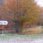 DSCF4795_resize