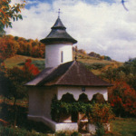 117513_manastirea-carnu