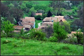 117884_jacul1