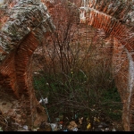 2010_traseu_mtb_dobreni_gostinari_comana_055