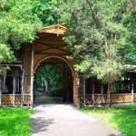 Buzias
