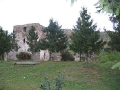 Curtea-Domneasca-Cotnari-20110816112104