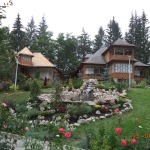 DSC00878