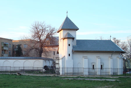 DSC02120-stelea-21