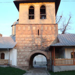 DSC02124-stelea