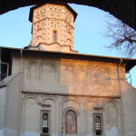 DSC02129-stelea-22