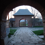 DSC02170-stelea