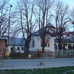 DSC02175-stelea