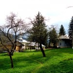 Manastirea-Valea-Neagra-20110111150424