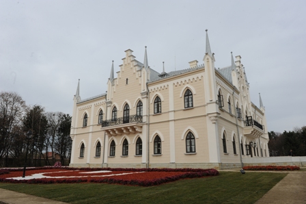 Palatul  Ruginoasa (3)