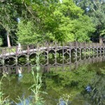 Palatul-Stirbei-de-la-Buftea-20110225104218