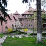 Palatul-Stirbei-din-Darmanesti-20110107161659