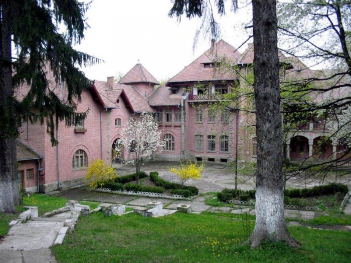 Palatul-Stirbei-din-Darmanesti-20110107161659
