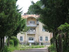Palatul_Sturdza_de_la_Cozmeşti10-275x206