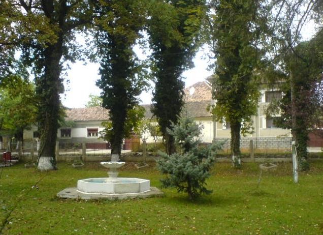 Statiunea-Baile-Tinca-20110503135059