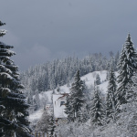 durau-iarna