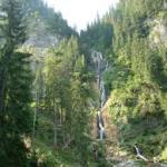 images (1)