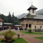 lainici