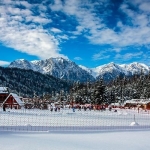 large_img_588