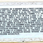 man-viforata-23