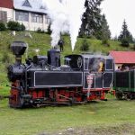 normal_UP_20101004_Covasna_Comandau_43